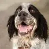 Tom