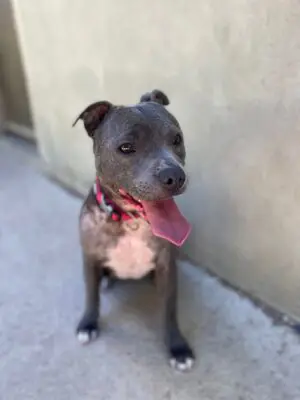 Mia