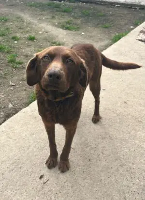 Marley