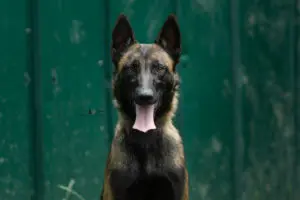 Athèna