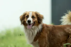 Théo