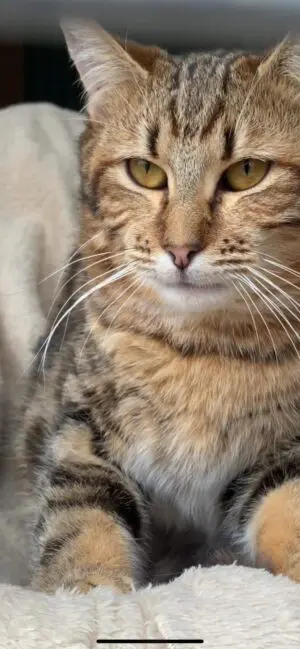 Timmy